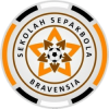 bravensia logo (1)
